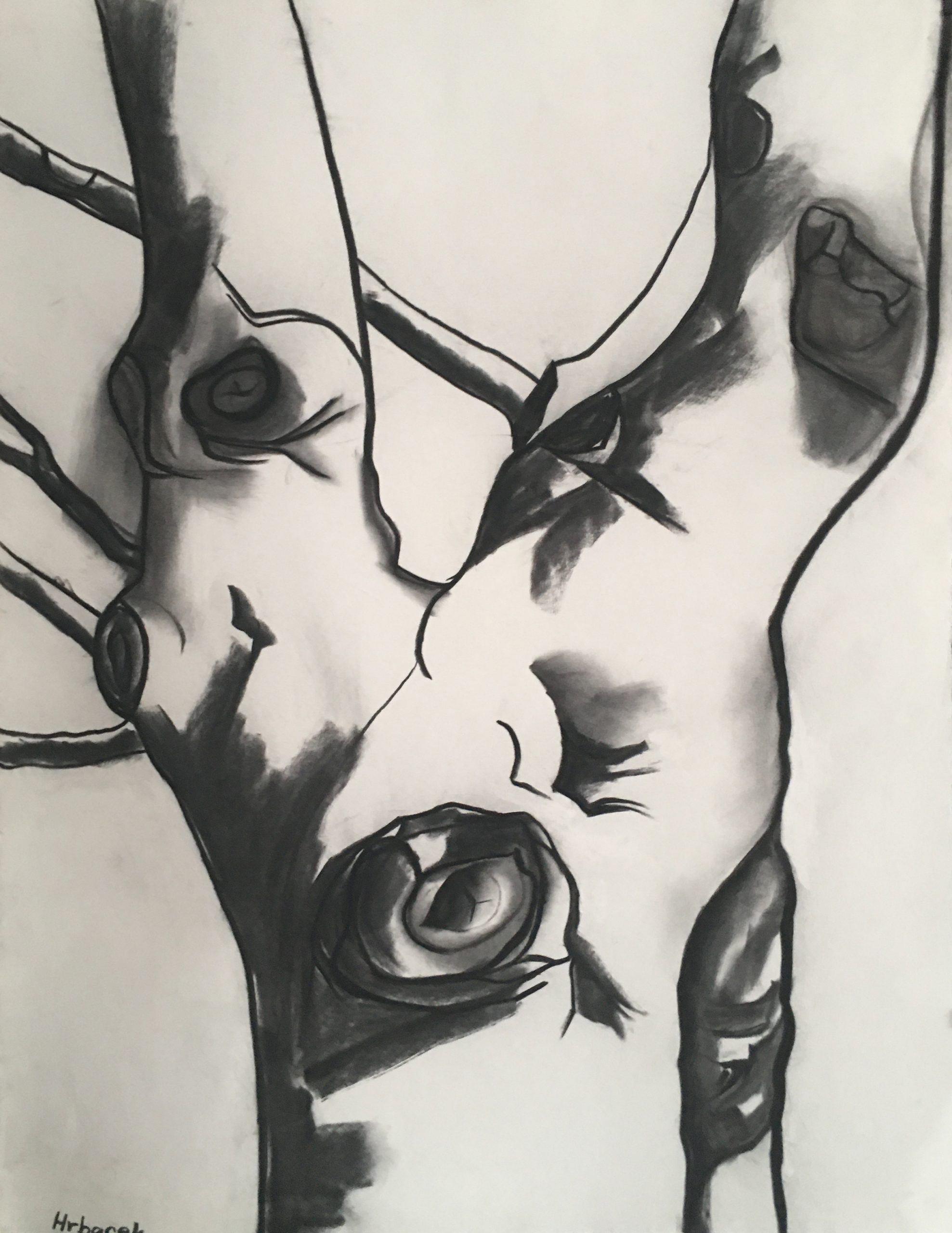 Williamsburg Tree II