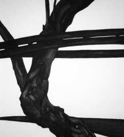 Mary Hrbacek at Elga Wimmer PCC  ART 511 MAG