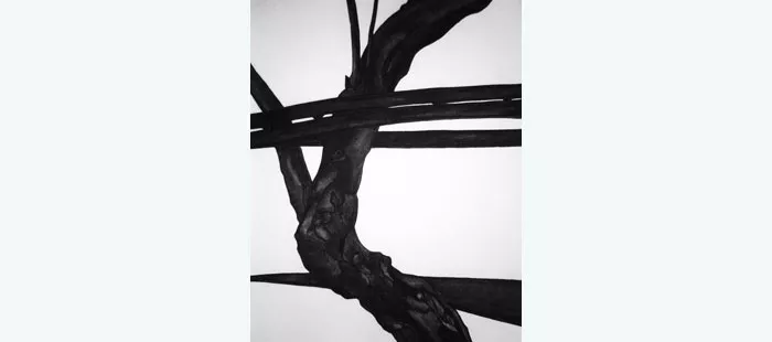 Twisted Naxos, charcoal on paper, 22 x 30,