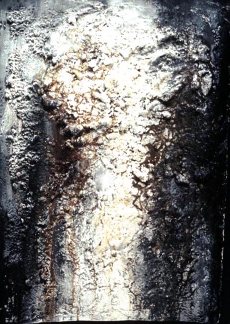 Birch Torso II