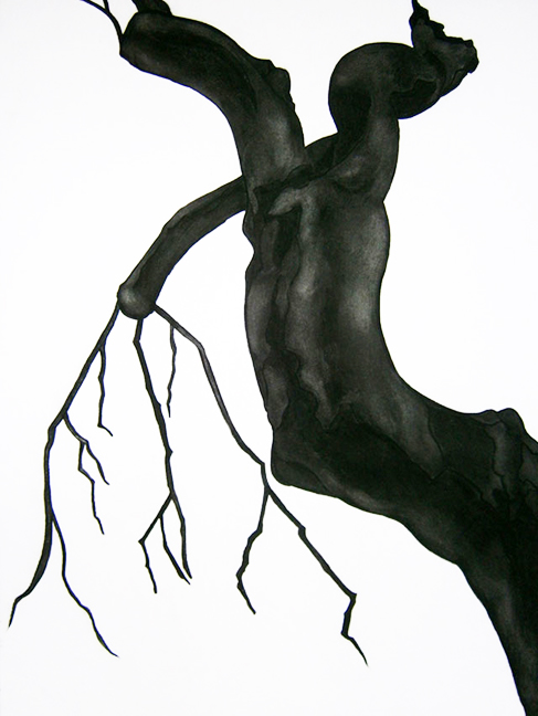 Hanging Suspended II