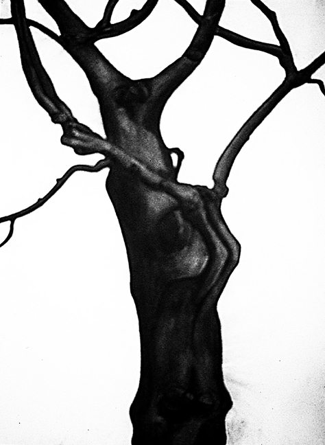 Master of the Universe