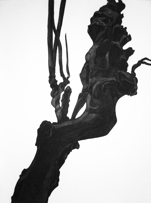 Monarch of the Glen II