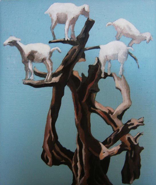 Moroccan Goat Tree