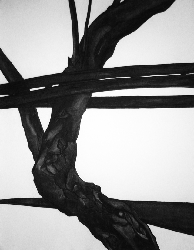 Twisted Naxos, 2016. Charcoal on paper, 22 x 30 in.