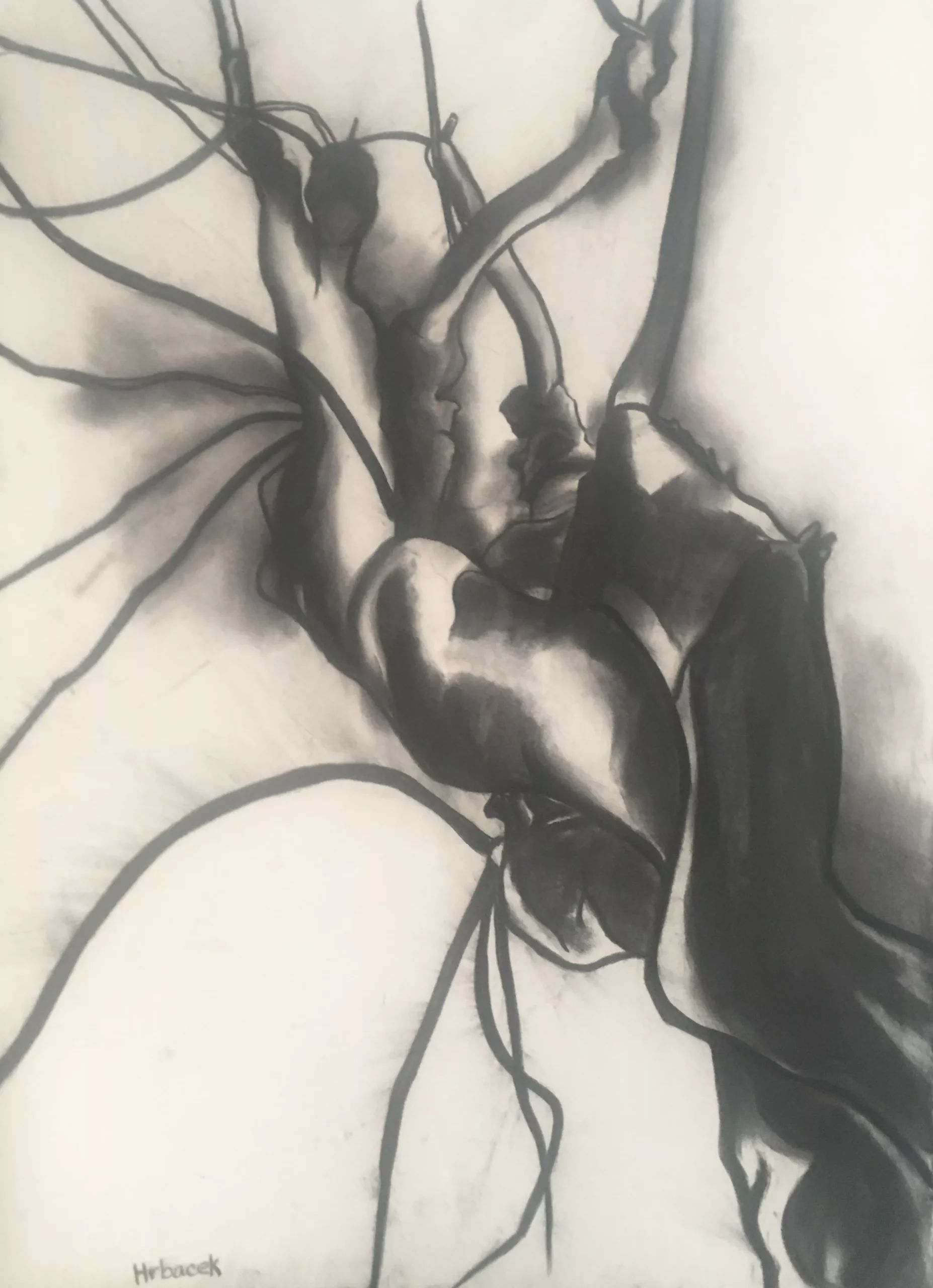 Liberation Creation I