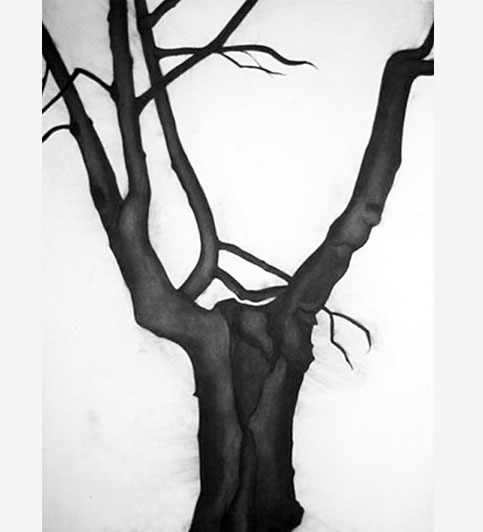 Hrbacek Entwined - Chris Twomey