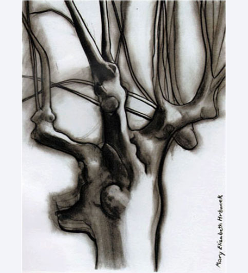 Mary Elizabeth Hrbacek Metamorphoses