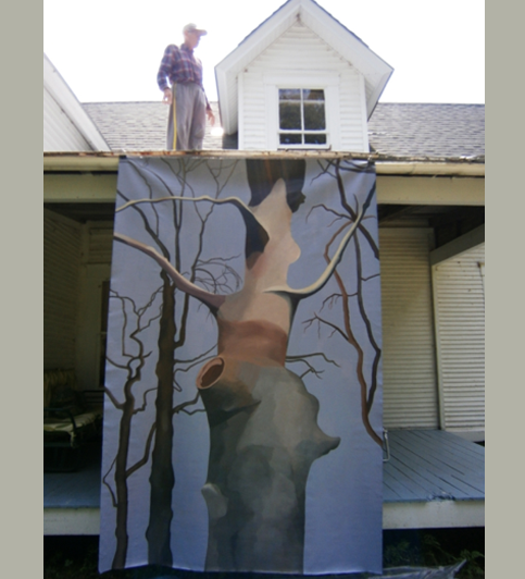 The Secret Life of Trees